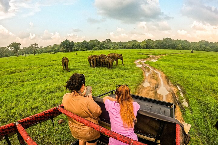 Hurulu eco park half day wild elephant safari in Sri Lanka - Photo 1 of 23